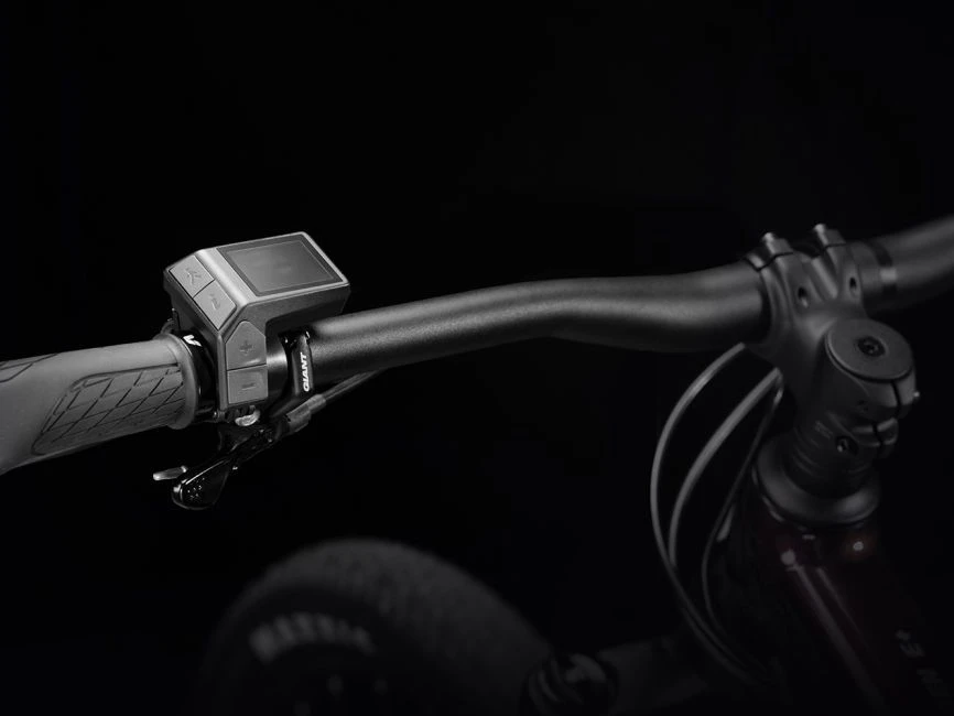 Giant - RideControl Dash 2 En 1 SG - Ecran Avec Boutons De Commande – Image 5